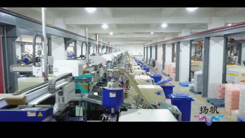 生態科技新城 組建專班精準服務，扶持企業做大做強信息技術咨詢服務